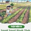 Thập Niên 70: Người Ngoài Hành Tinh Làm Giàu ( Dịch Full )